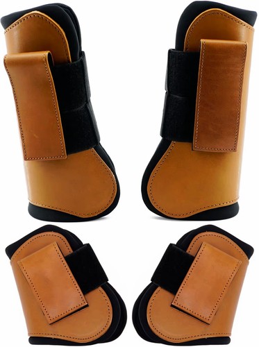 Horse tendon fetlock - tendon, &