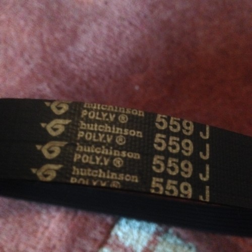Roger black gold - roger, treadmill