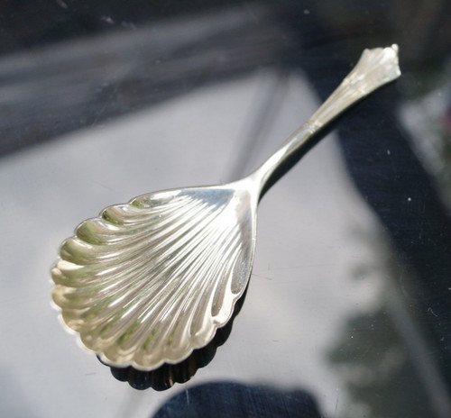 Edwardian silver caddy spoon - caddy,