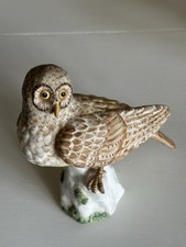 Crown Staffordshire Porcelain Hawk Owl By Doubell Smith. 