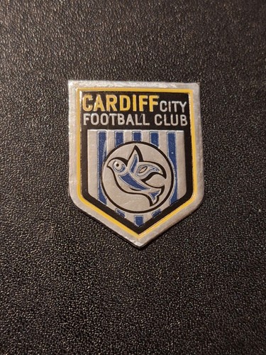 Cardiff city football - cardiff,