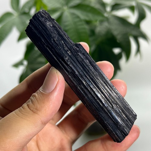 160g rough natural black - rough,