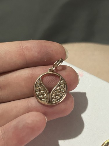 Pandora medallion wings rose - pandora,