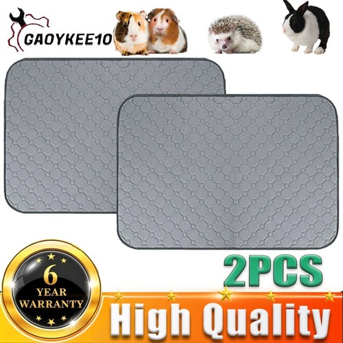 2pcs reusable guinea pig - 2pcs,