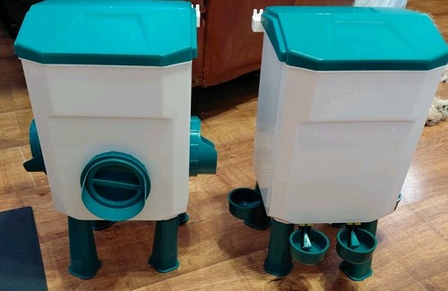 Chicken feeder drinker poultry - chicken,