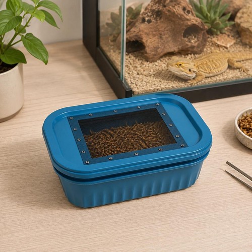 Layer mealworm breeding - layer, box