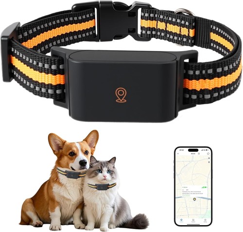 Cat tracker pet gps - pet,