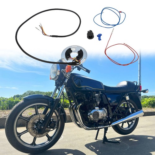 Electronic ignition system - electronic, for