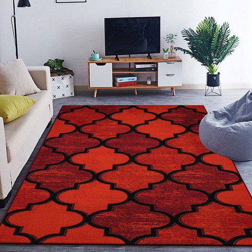 Large living room rugs non - living,