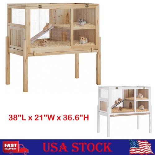 Wooden guinea pig cage - pig, indoor