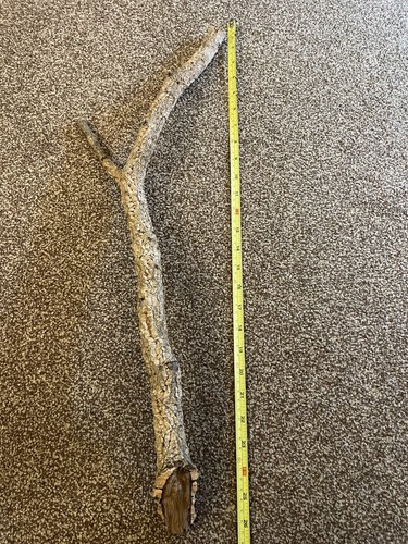 Cork bark branch 70cm - cork,