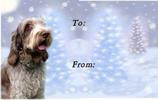 Italian Spinone Christmas Labels by Starprint - No 2