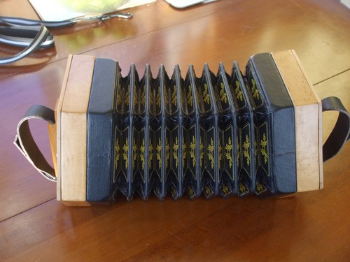 Concertina anglo - concertina, dg
