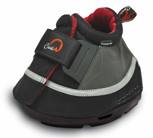Cavallo transport air multi - cavallo,