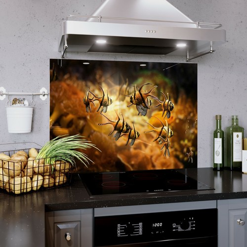 Glass splashback kitchen - splashback,