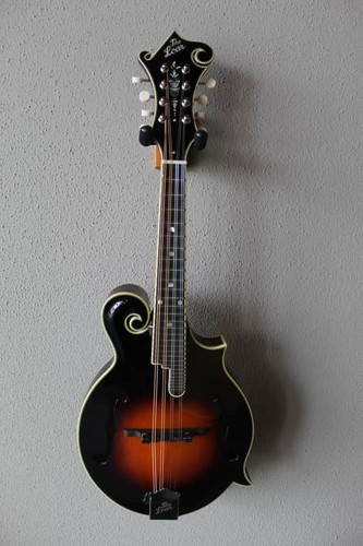 Brand new the - loar, lm-600-vs