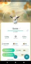 Pokémon  Shiny Eevee Flower