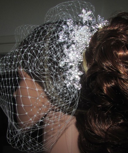 Ivory wedding veil birdcage