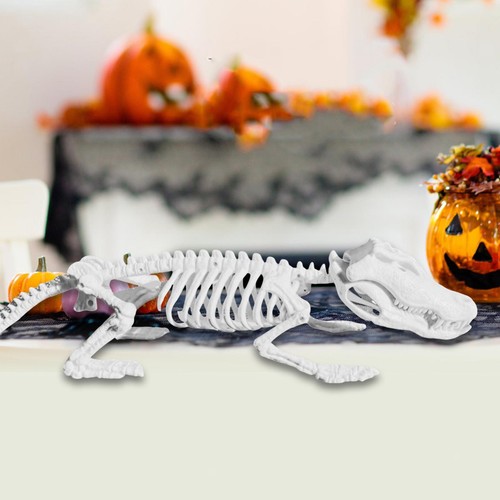 Halloween crocodiles skeleton - halloween,
