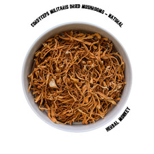 Cordyceps Militaris Dried