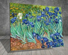 Van Gogh Irises Flower Garden