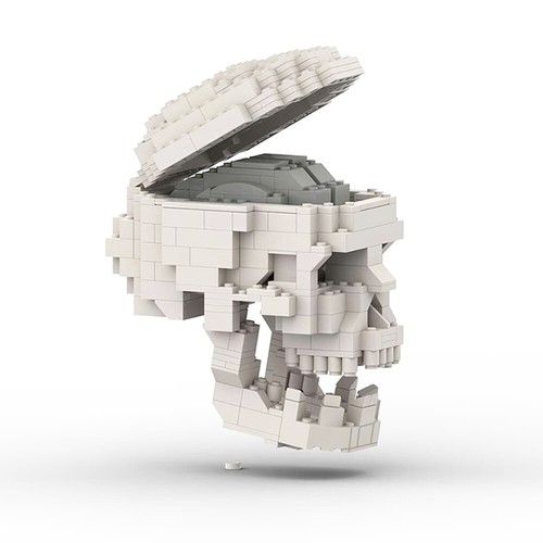 Zitianyoubuild human skull - zitianyoubuild,