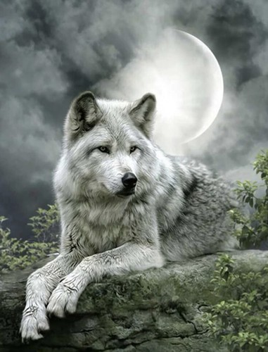 Wolf diamond painting art - wolf,