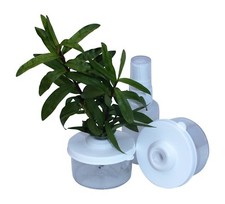 Stick Insect,Leaf Insect Cage,NEW Slimline Twig Pot Pair With Mini Mister Bottle