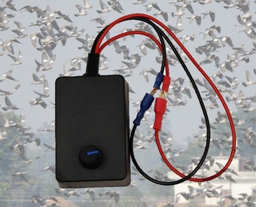 Pigeon magnet rotary 12v - pigeon,