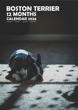 Boston Terrier 2026 Calendars