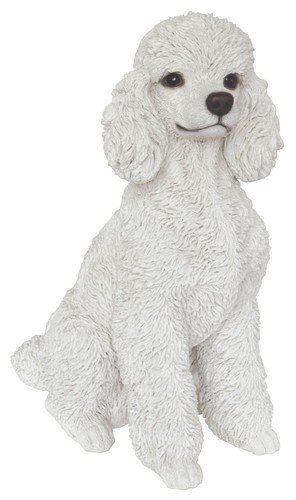 Vivid arts toy poodle - toy,