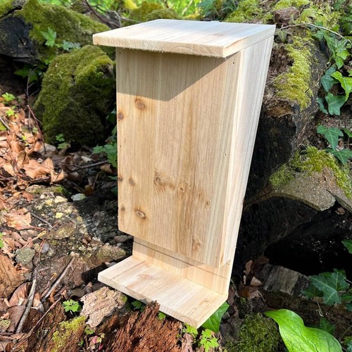Wooden bat house box - house,