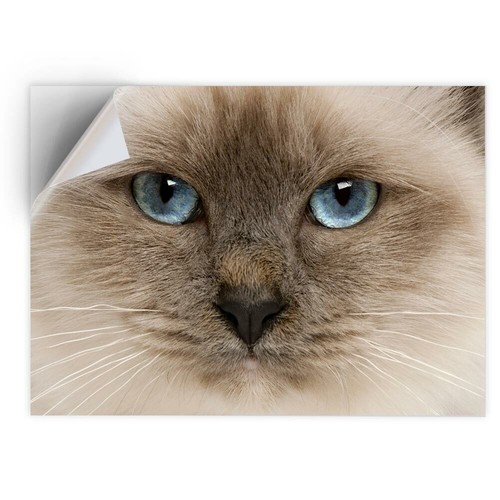 Vinyl sticker blue - vinyl,
