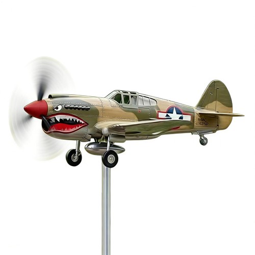 Shark mouth warplane garden - shark,