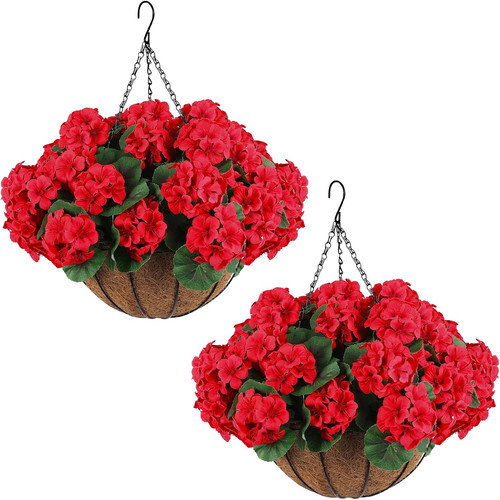 Set red geraniums with - 2,