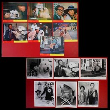 JOB LOT Shaggy D.A Press