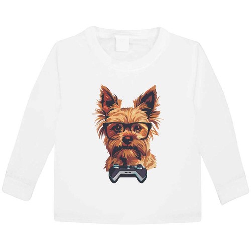 Gamer yorkshire terrier - 'gamer,