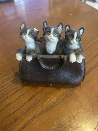 Leonardo collection cat - collection,