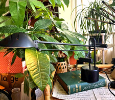 Vintage Angkepoise Desk Lamp Black 80s Massive Of Belgium Minimalist Balance MCM