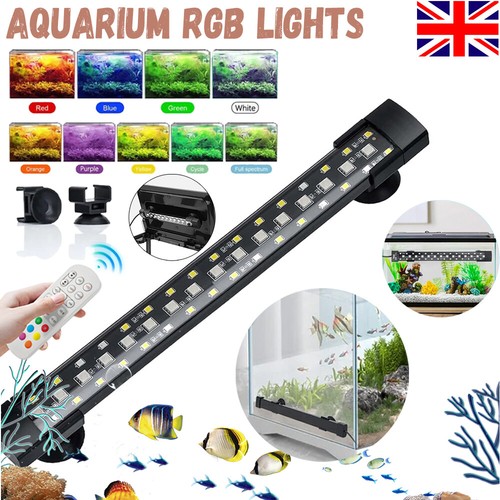 Cycle aquarium fish tank - 24/7,