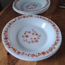 Arcopal scania soup bowls - soup,