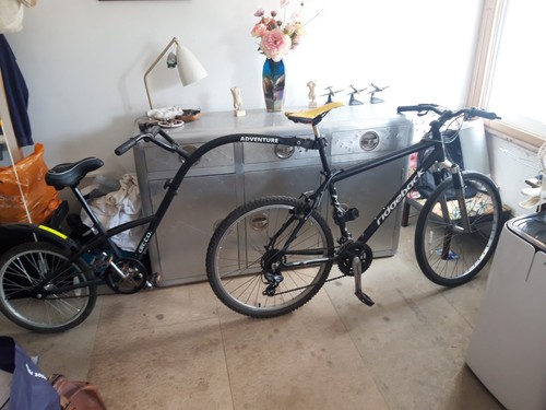 Ridgeback mx2 and ditto - ridgeback,