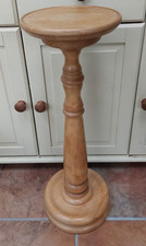 Vintage round beech plant