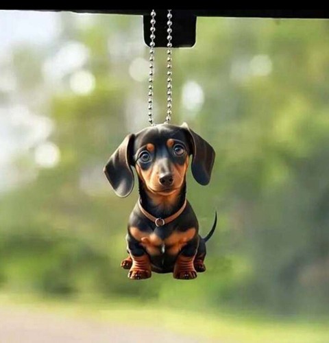 Dachshund acrylic printed - dachshund, 2d