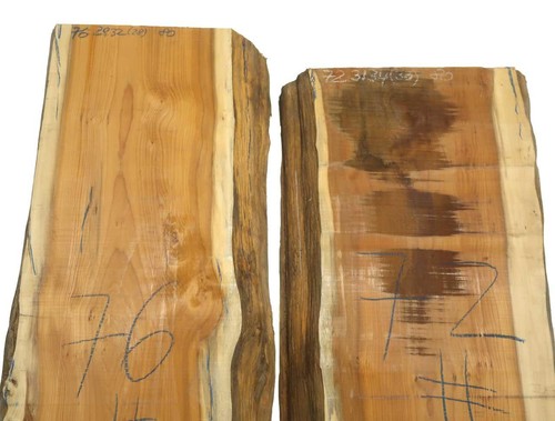 Yew timber wood - yew, rustic