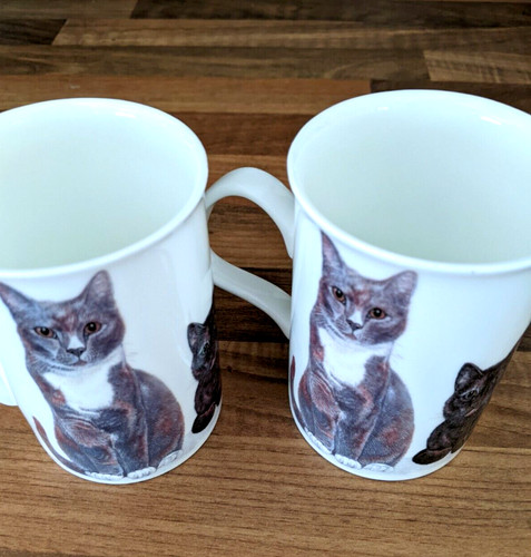 Cat mug rare pair roy - rare,
