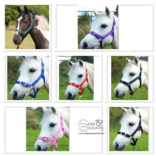 Headcollar leadrope set - leadrope,