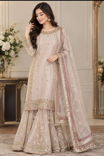 Organza dress asian pakistani - dress,
