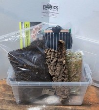 Complete Hatchling Snake