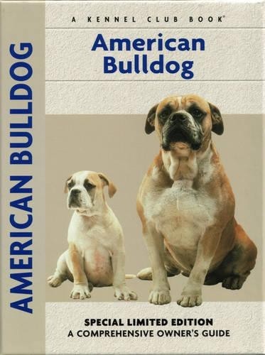 American bulldog - american,